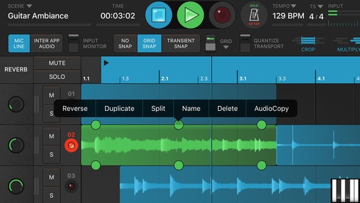 Looperverse gallery image
