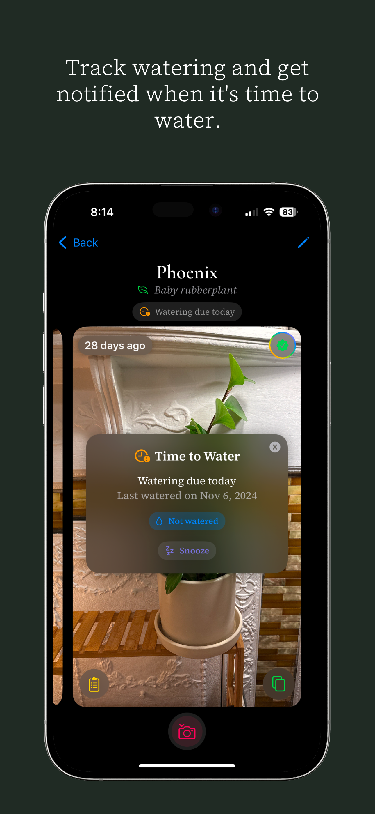 Ginkgo media 3