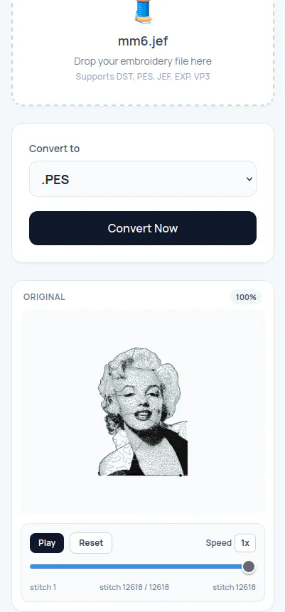 Embroidery Converter gallery image