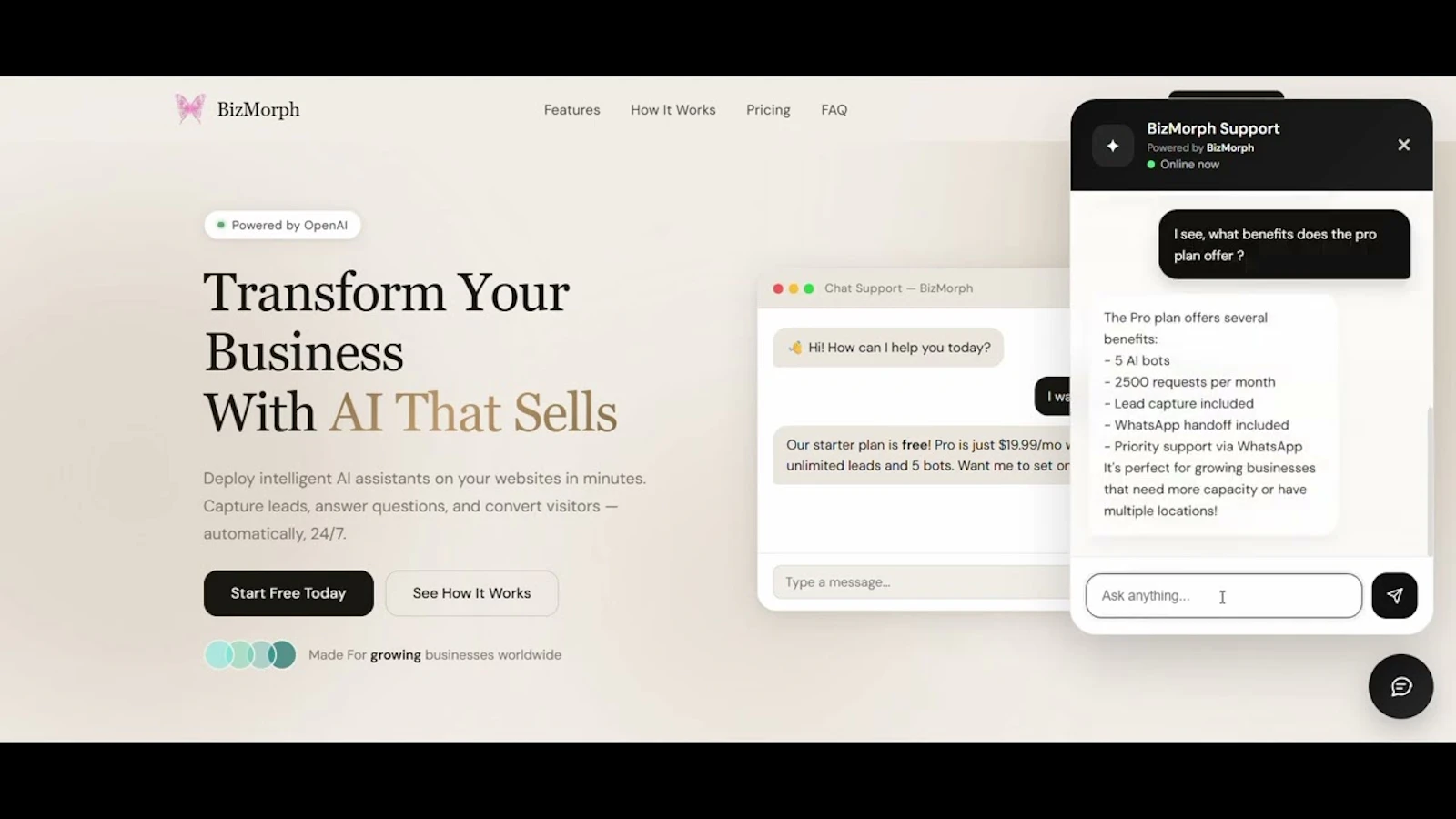 BizMorph screenshot 1 (video preview)