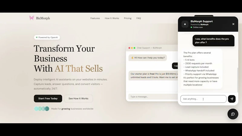 BizMorph screenshot 1 (video preview)