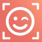 Luxand Facial Recognition Widget