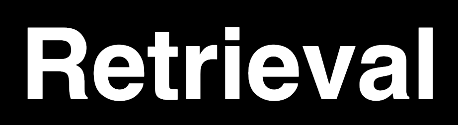 Retrieval Search AI 