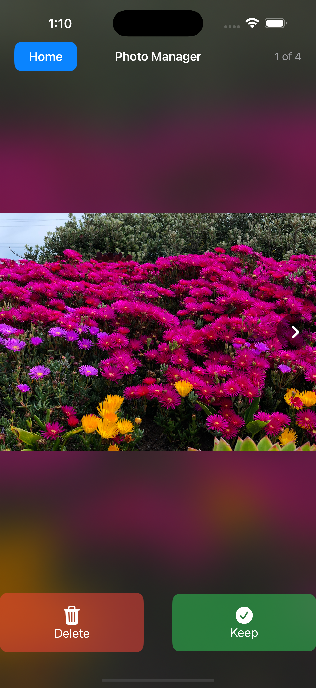 PhotoCleanup - Geri Alma Depolama - Zahmetsizce akıllı depolama! medya 5