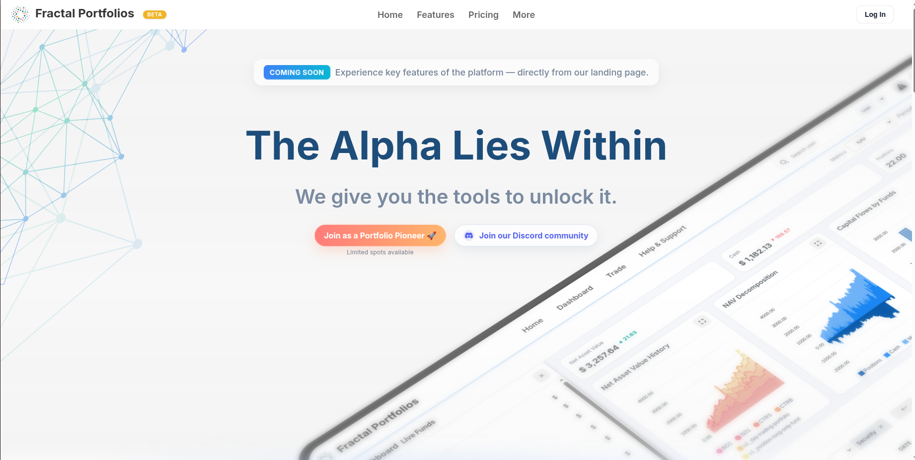 Fractal Portfolios gallery image