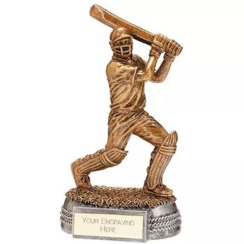 Cricket Trophies Online gallery image