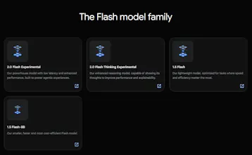Gemini 2.0 Flash gallery image