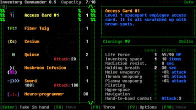ASCIIDENT gallery image