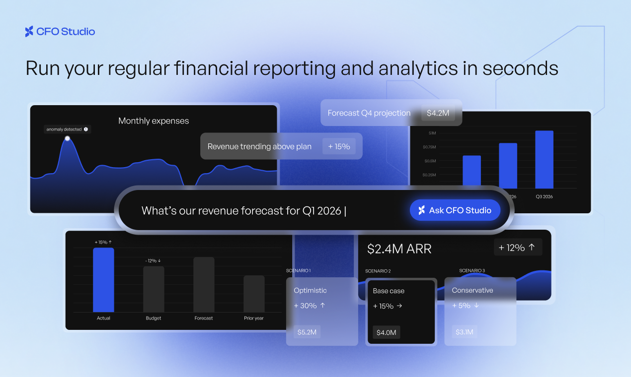 CFO Studio - Screenshot 4 showing product features and functionality