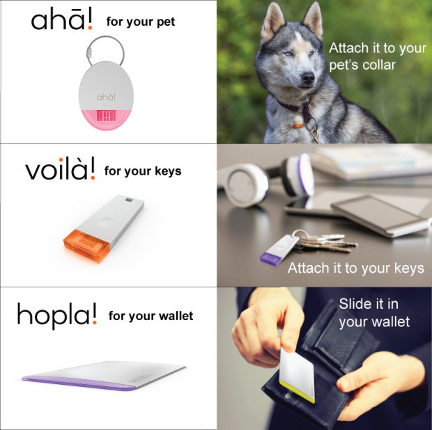 Wistiki gallery image