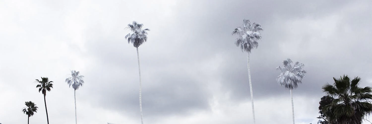 Joshua Stearns cover