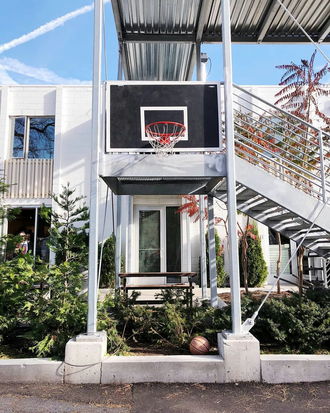 Basketball Is Fun gallery image