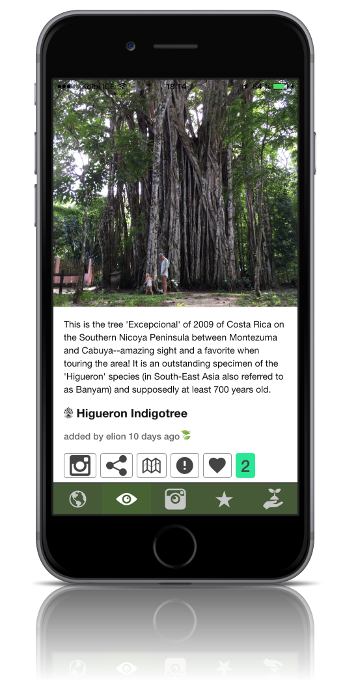 Tree The World gallery image