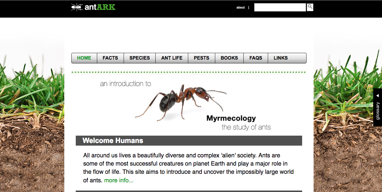 antARK gallery image