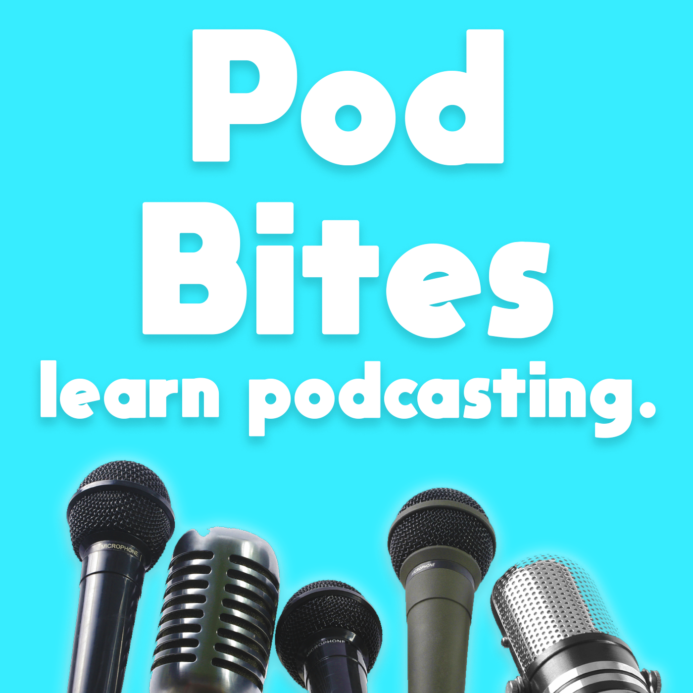 The Pod Bites Podcast