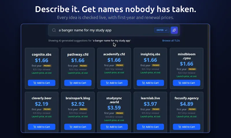NameFlow screenshot 5