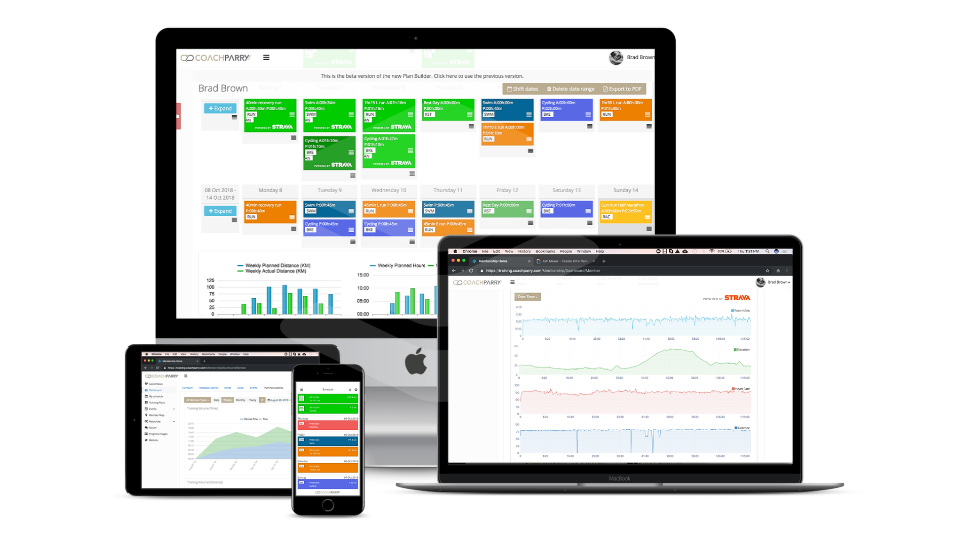 Coach Parry Training Platform gallery image