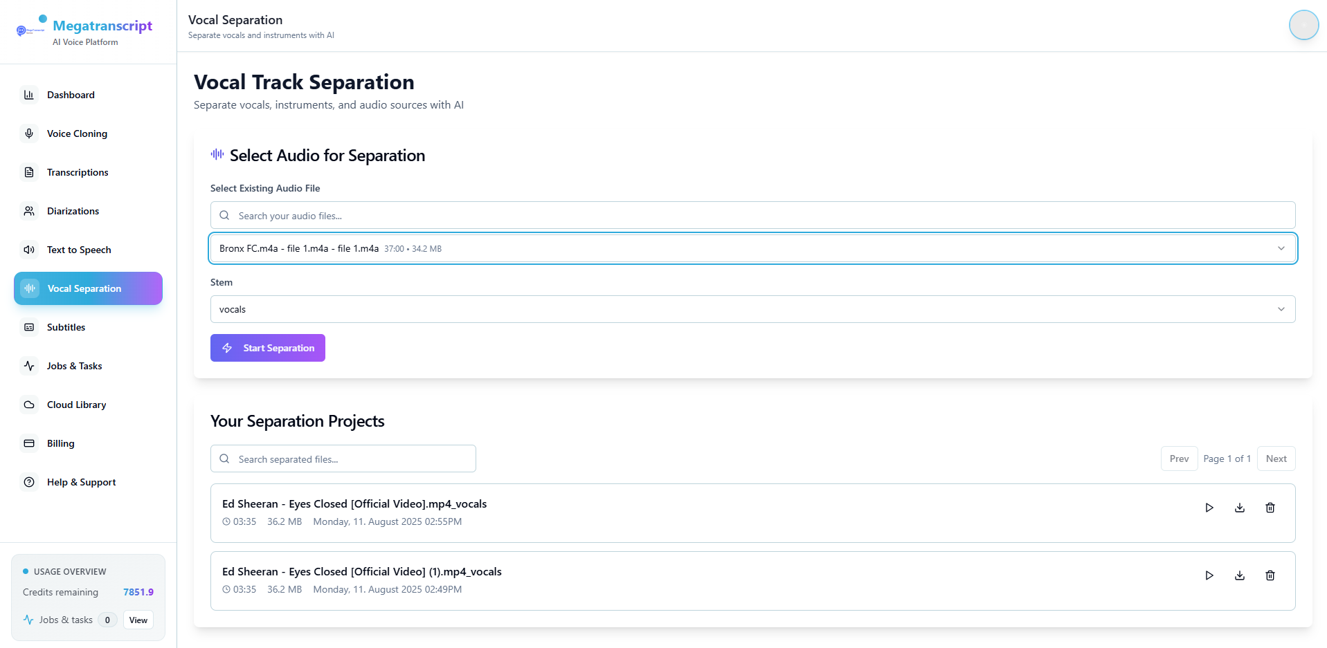 MegaTranscript AI Voice Studio gallery image