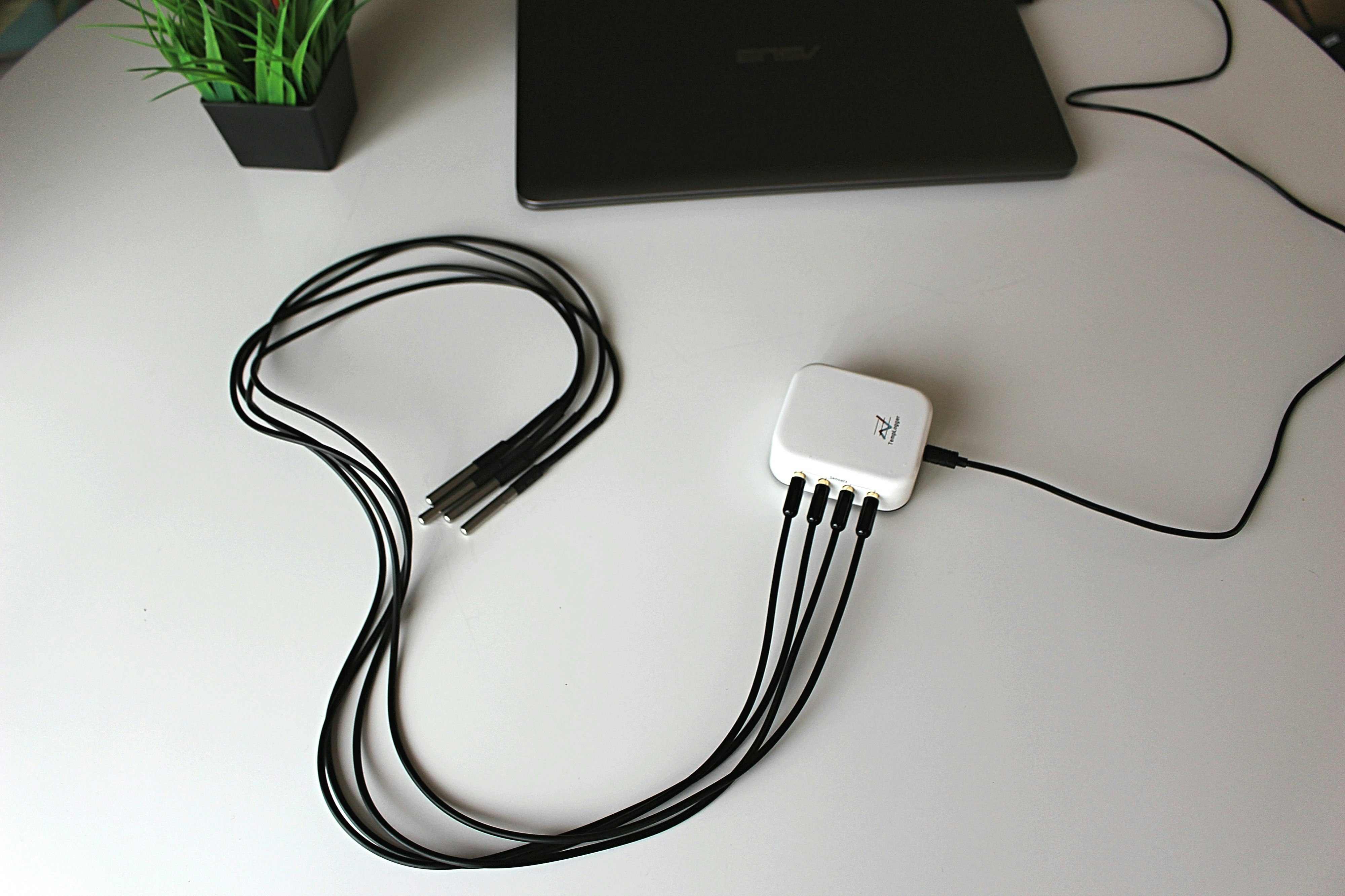 TempLogger gallery image