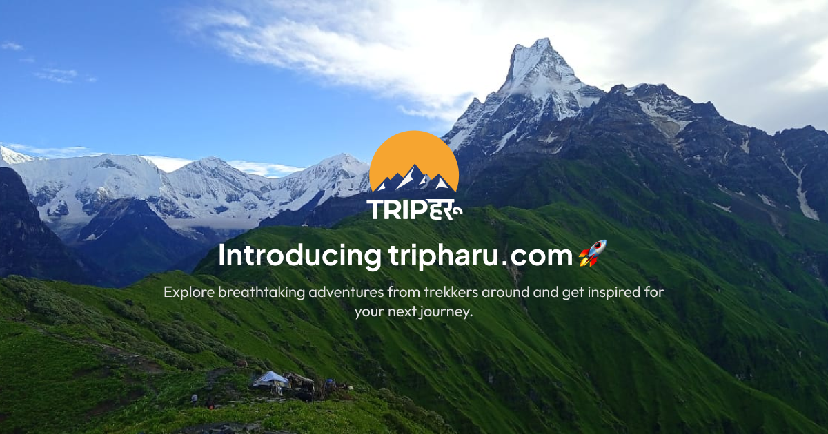 TripHaru gallery image