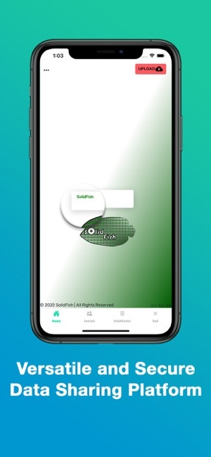 SolidFish gallery image