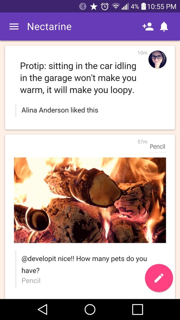 Nectarine gallery image