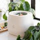 Lomi Home Composter