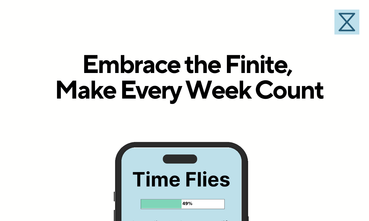 Time Flies gallery image