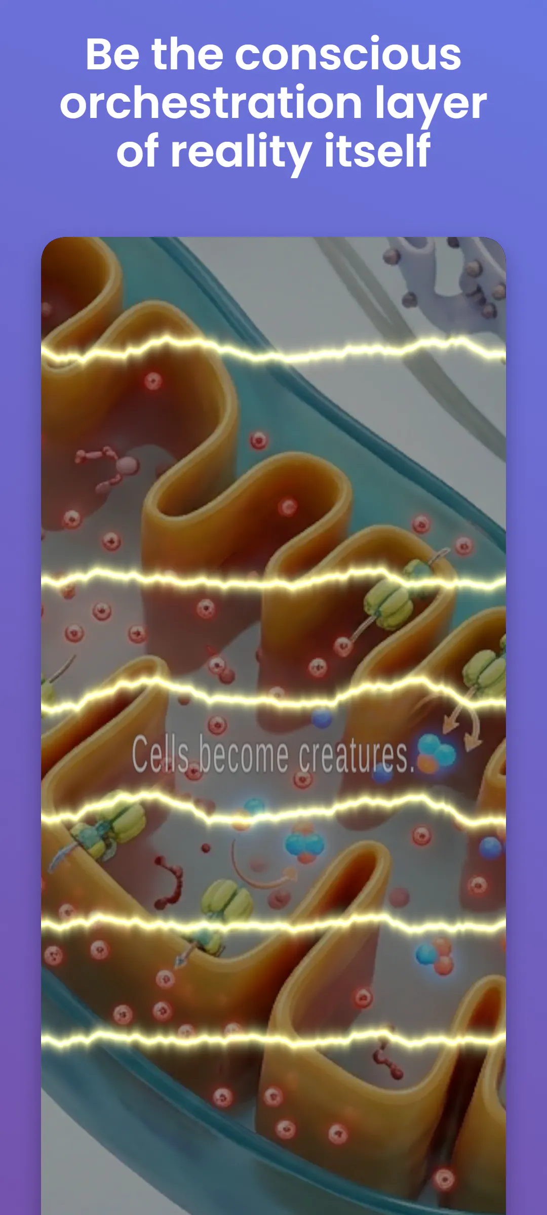 Domains of Transcendence gallery image