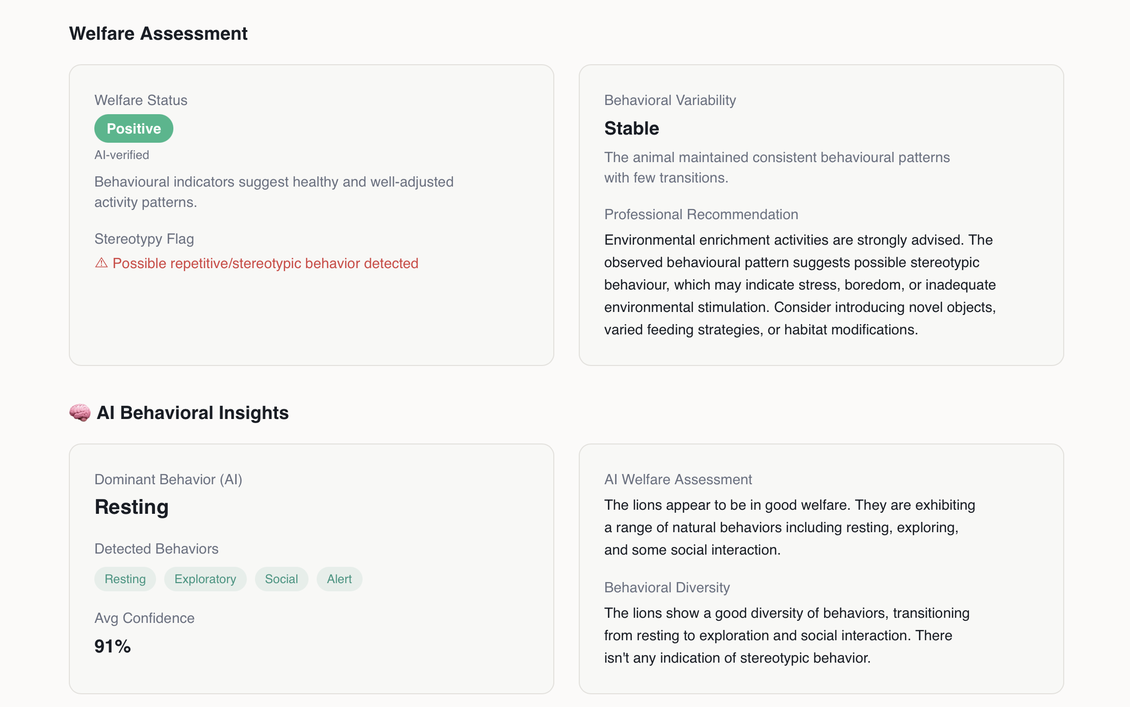 Leo.ai gallery image