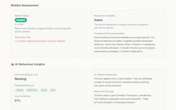 Leo.ai gallery image