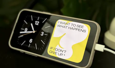 Flaboff gallery image