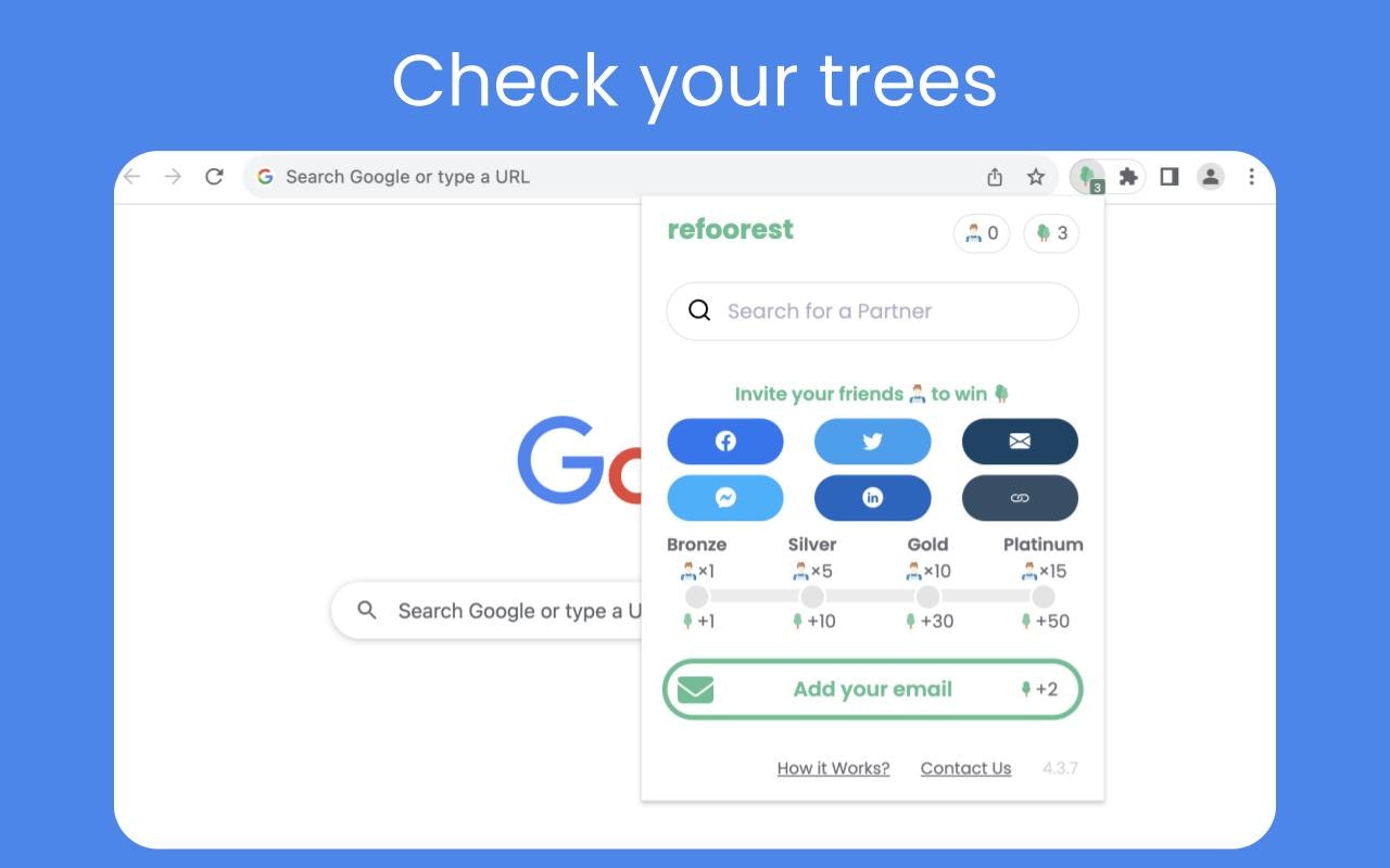 Refoorest media 5