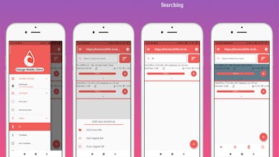 Deluge mobile client gallery image