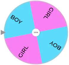 Random Wheel Spin gallery image
