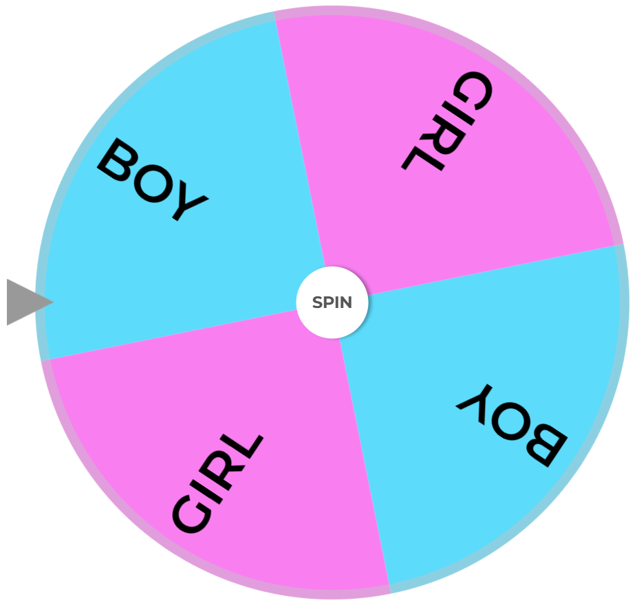 Giro de la rueda al azar - Rueda de los nombres Spinner y Name Random Picker media 4
