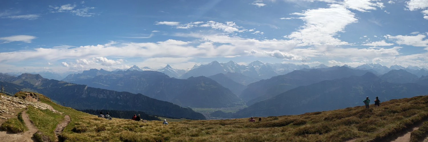 Julian Wachholz cover