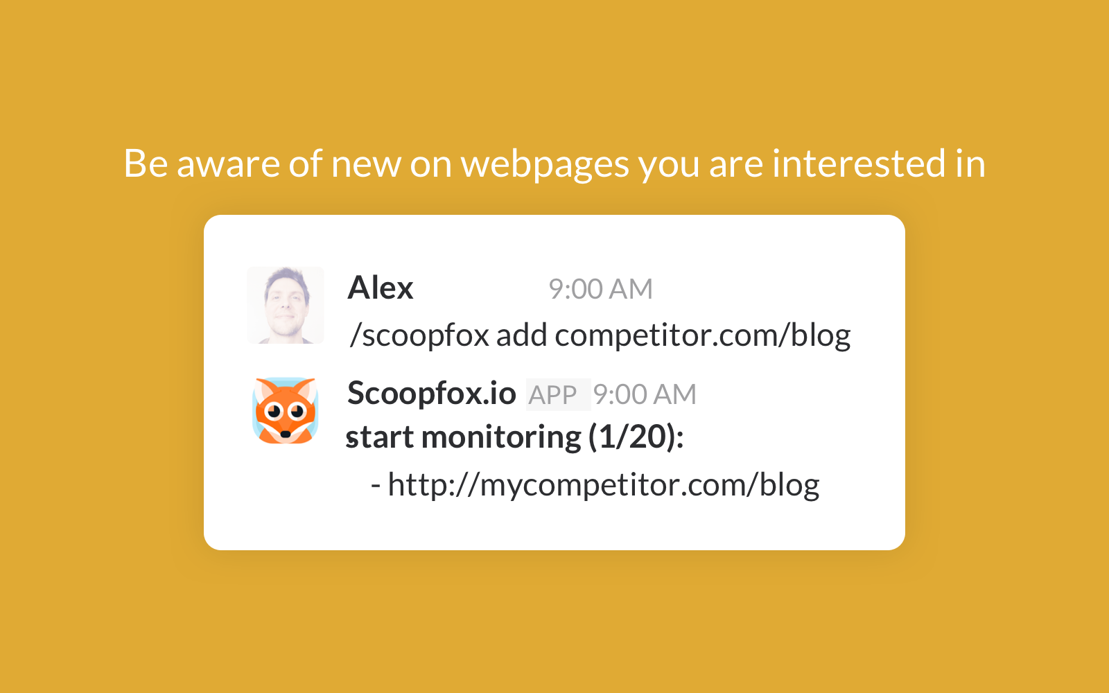 Scoopfox.io gallery image