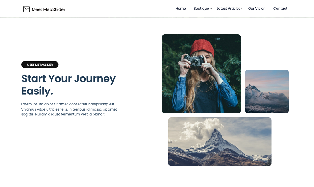 Meet MetaSlider WordPress Theme media 2