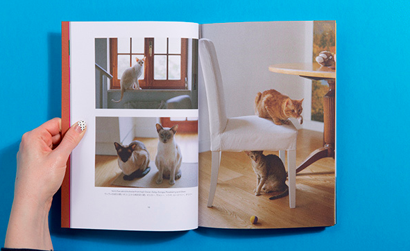 Cat People gallery image