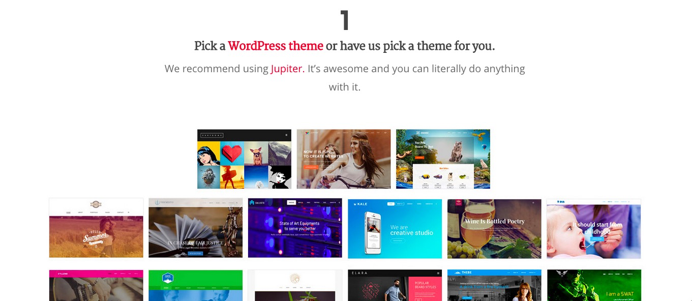 Wordpress Website Upgrade Program gallery image