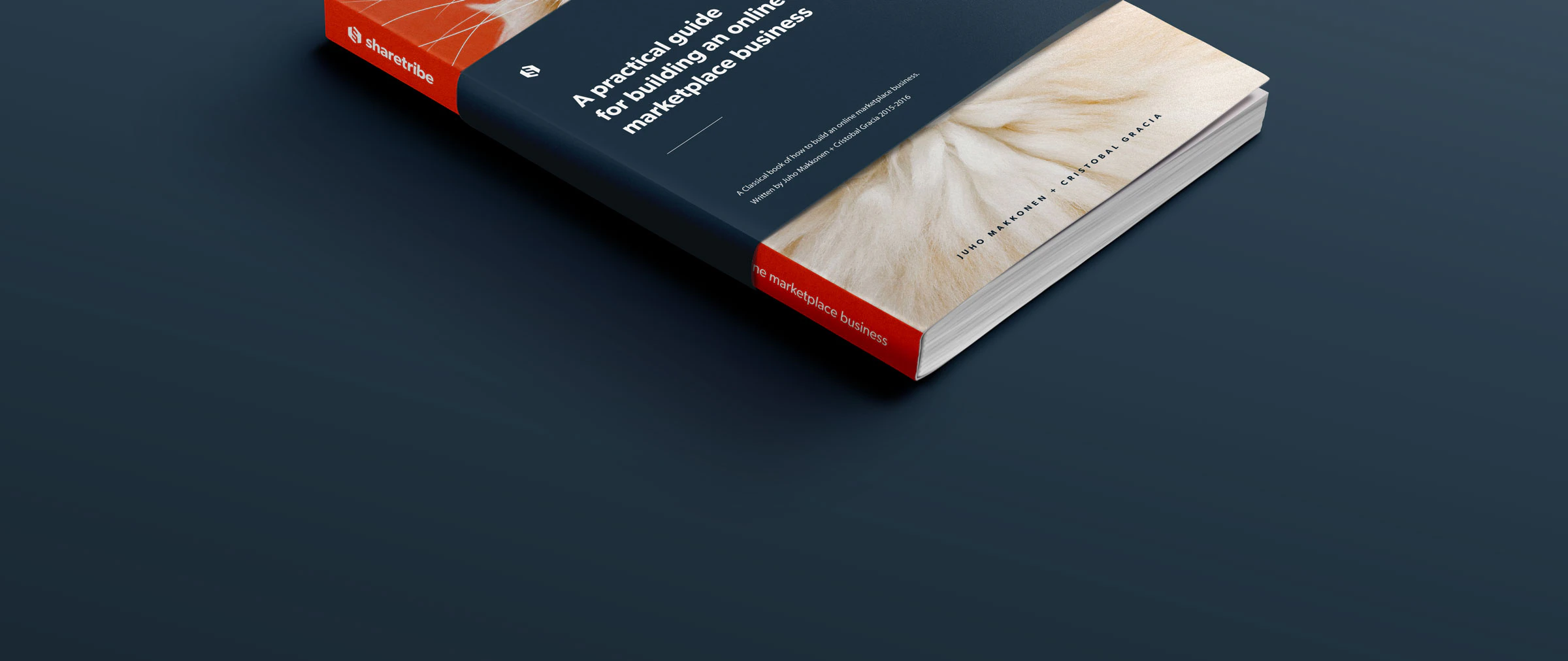 A practical guide for building an online marketplace business