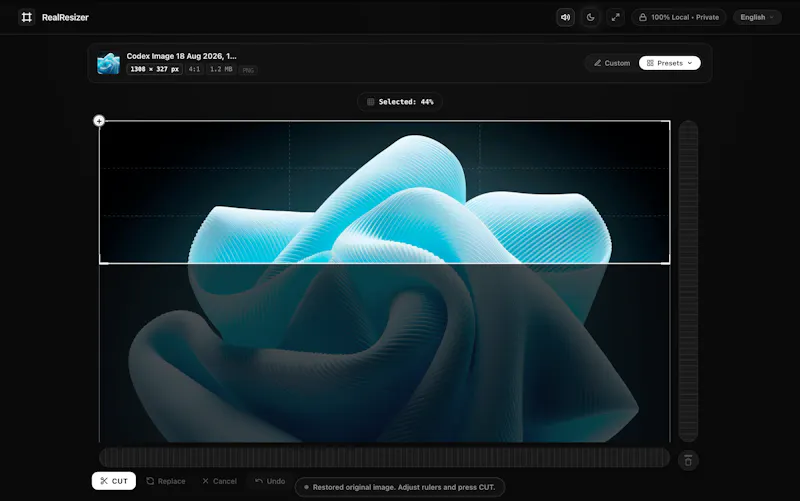 RealResizer — One Image, Every Platform. screenshot 2