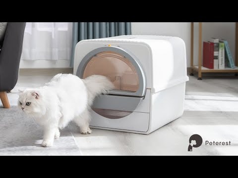 Peterest gallery image