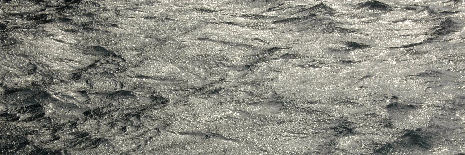 Quinn Comendant cover