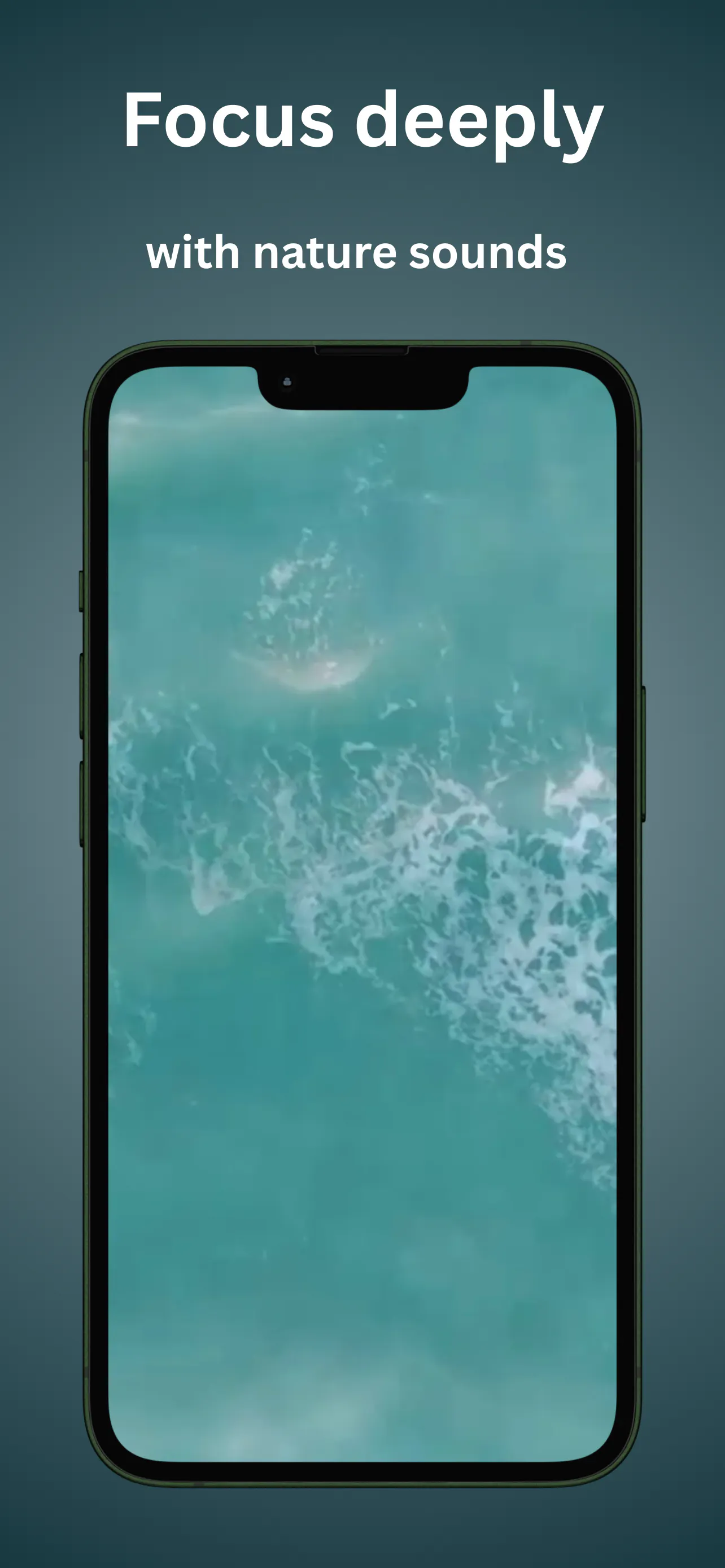 截图 4