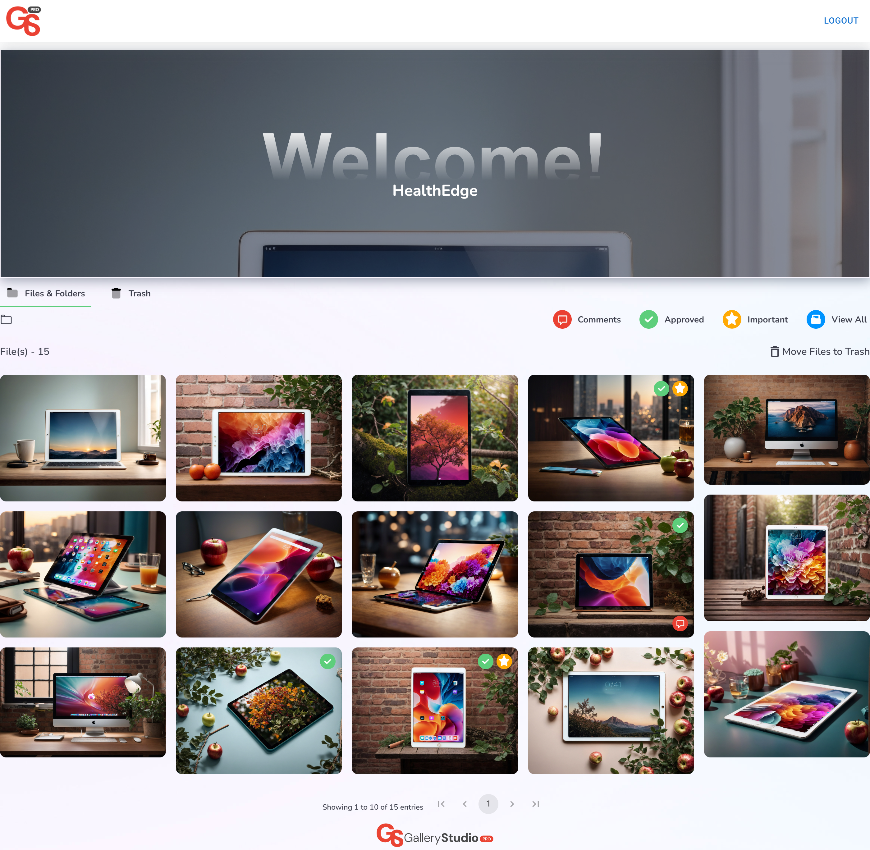 Gallery Studio Pro media 3