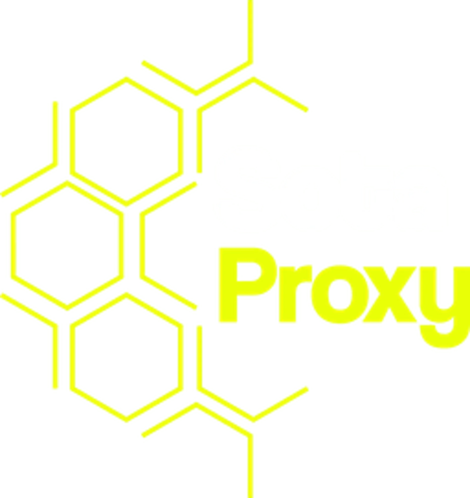 SotaProxy screenshot 1