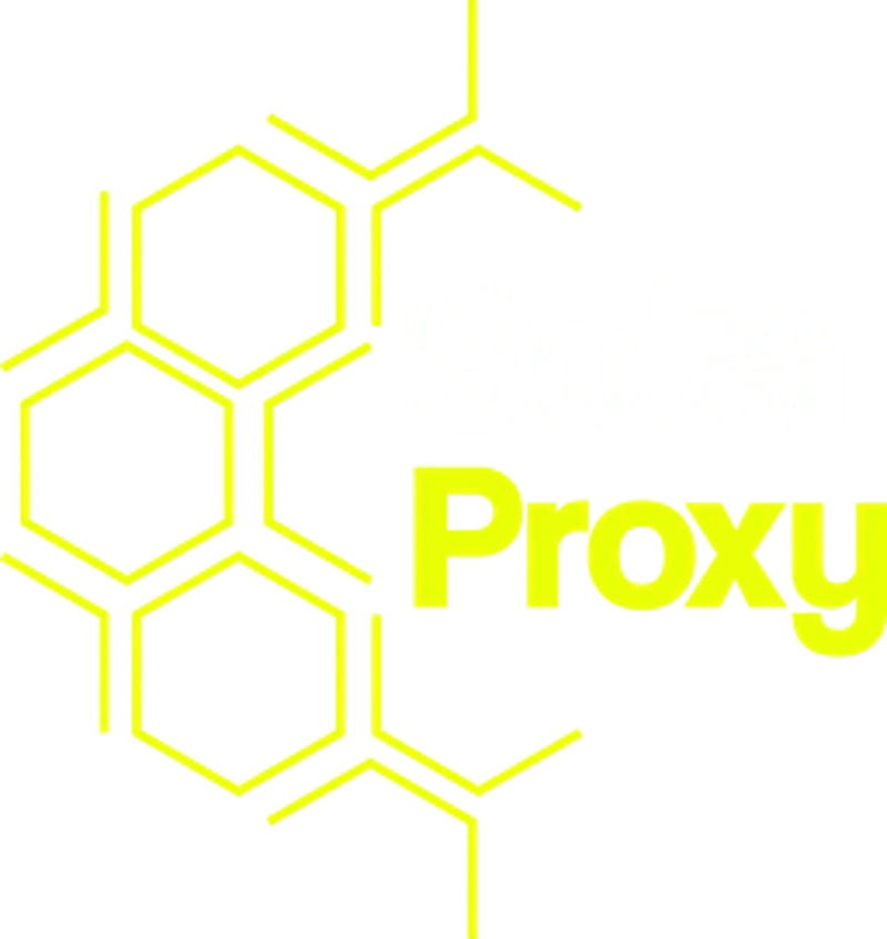SotaProxy screenshot 1