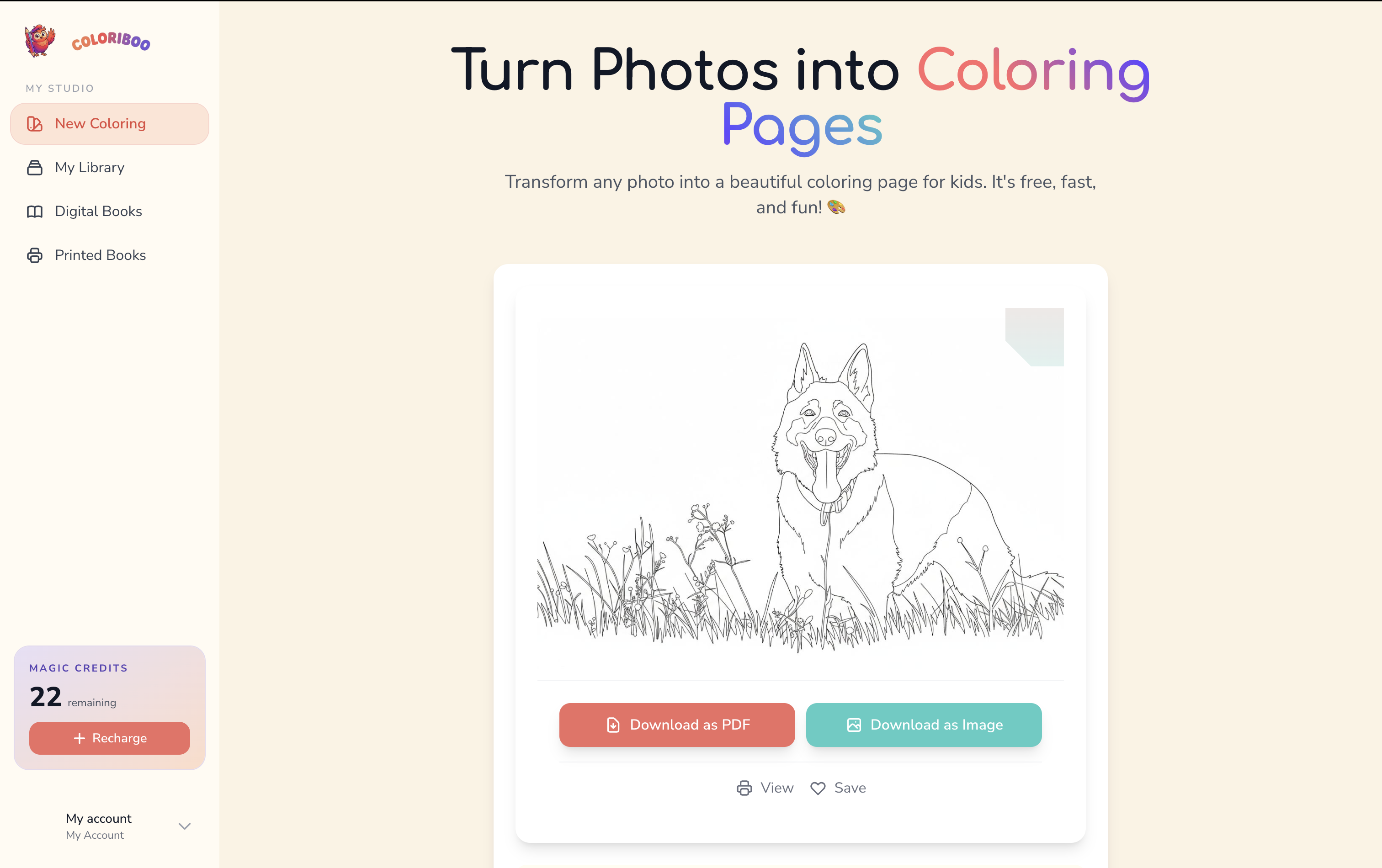 Coloriboo gallery image